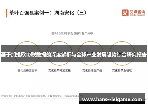 基于加维欧协联数据的深度解析与全球产业发展趋势综合研究报告
