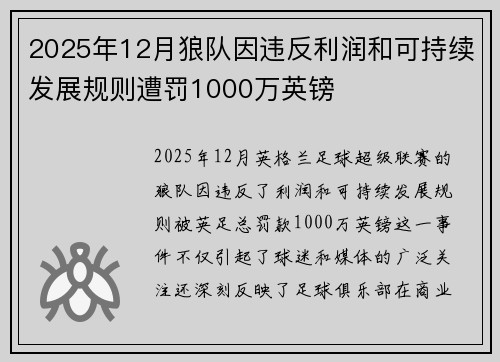 2025年12月狼队因违反利润和可持续发展规则遭罚1000万英镑